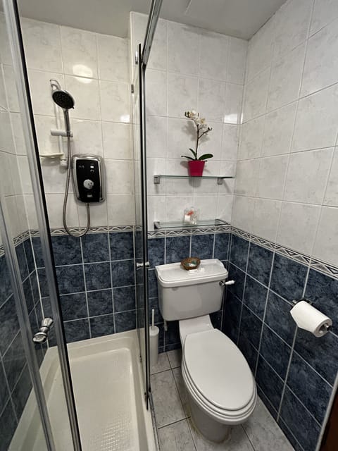 Double Room | Bathroom | Shower, free toiletries, hair dryer, towels