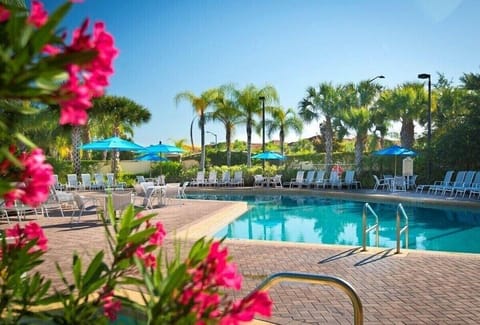 MAIN POOL AREA