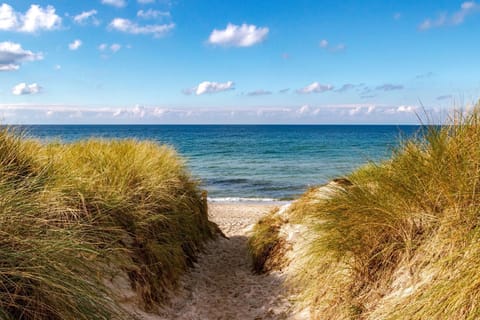 On the beach, sun loungers, beach umbrellas, beach towels