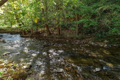 Creek View
