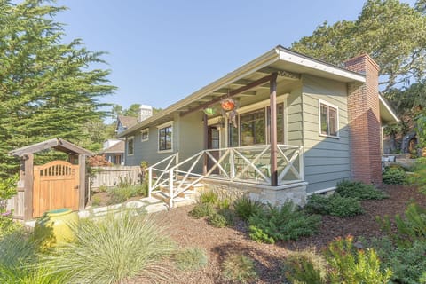 Welcome to "Beach Paws"!