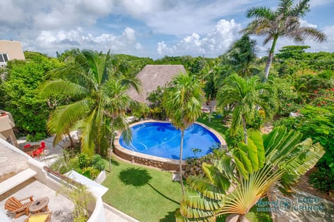 Rooftop Views of the Tropical Gardens