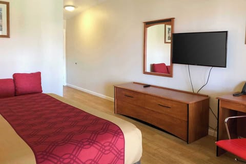 Single King Room | Free WiFi