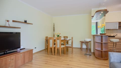 Apartment (29) | Living area | Flat-screen TV