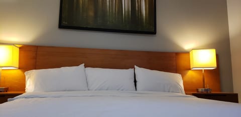 Family Room, 1 King Bed | Individually furnished, desk, laptop workspace, free WiFi