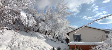 House | Exterior