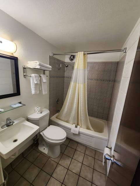 Deluxe Room, 1 Queen Bed, Non Smoking, Refrigerator & Microwave | Bathroom | Combined shower/tub, free toiletries, hair dryer, bidet