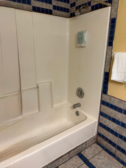 Towels, soap, shampoo, toilet paper