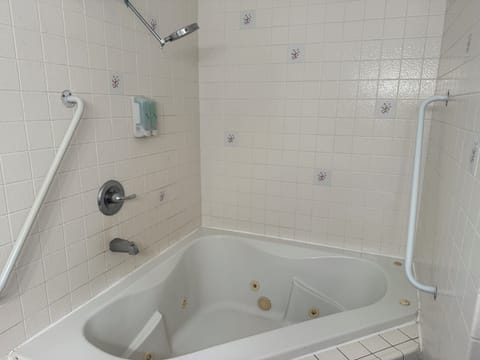 Basic Room | Bathroom | Towels, soap, shampoo, toilet paper