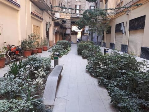 Standard Single Room | View from room