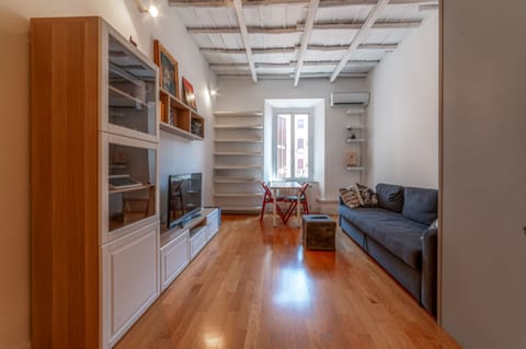 Standard Apartment | Living area | 25-inch TV with satellite channels