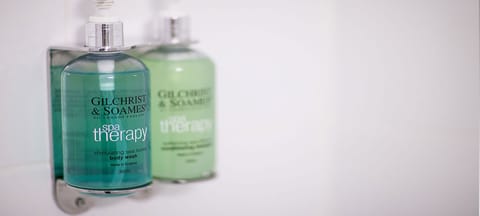 Combined shower/tub, free toiletries, hair dryer, towels