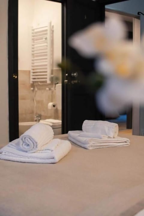 Shower, free toiletries, hair dryer, bidet