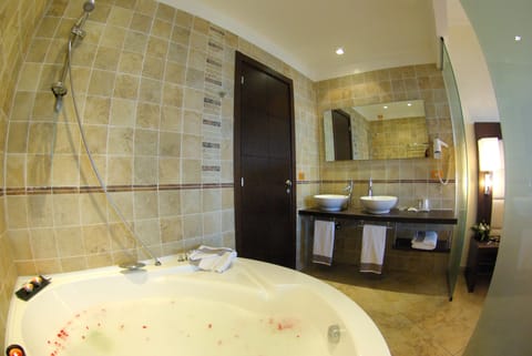 Shower, free toiletries, hair dryer, bidet