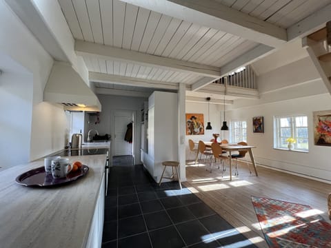 Deluxe Apartment | Private kitchen | Full-size fridge, microwave, oven, stovetop