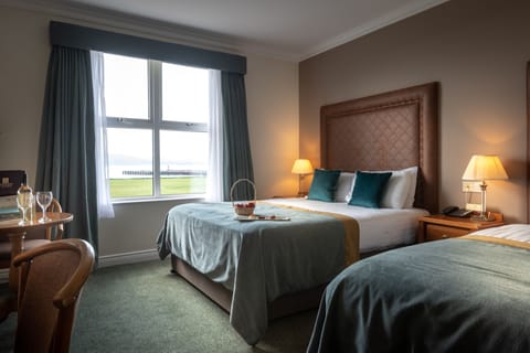 Double or Twin Room | Desk, iron/ironing board, free WiFi