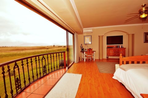 Presidential Double or Twin Room | View from room