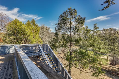 Apartment (0 Bedroom) | Interior