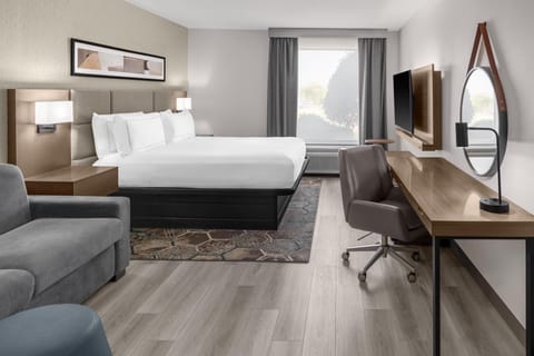 One king bed non smoking | In-room safe, desk, free cribs/infant beds, free WiFi