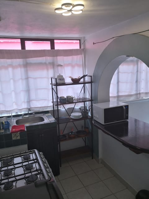 Business Apartment | Private kitchen | Microwave, oven, blender, cookware/dishes/utensils