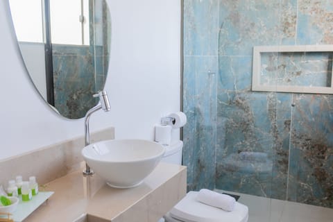 Premium Room | Bathroom | Shower, rainfall showerhead, free toiletries, hair dryer