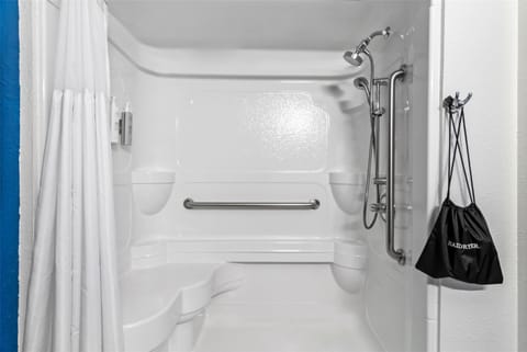 Room, 1 King Bed, Accessible (Mobility, Roll-In Shower) | Bathroom shower