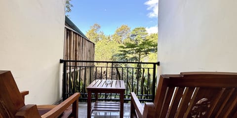 Deluxe Room Balcony with Jungle View | Balcony view