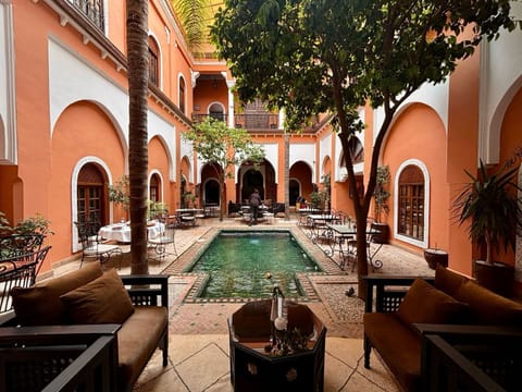 Outdoor pool, sun loungers