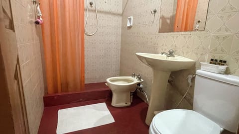 Classic double room with private bathroom | Bathroom | Shower, rainfall showerhead, designer toiletries, hair dryer