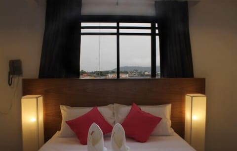 Minibar, desk, rollaway beds (surcharge)