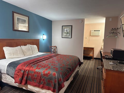 Standard Single Room | Desk, laptop workspace, iron/ironing board, free WiFi