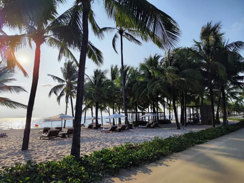 On the beach, white sand, free beach shuttle