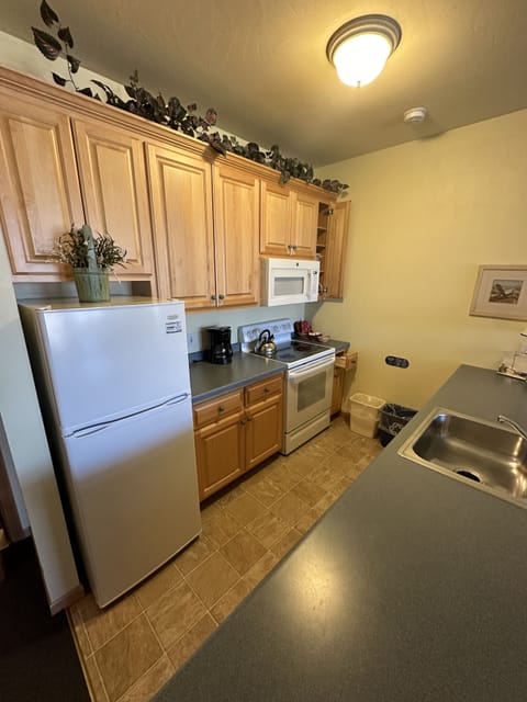 Comfort Suite | Private kitchen | Microwave