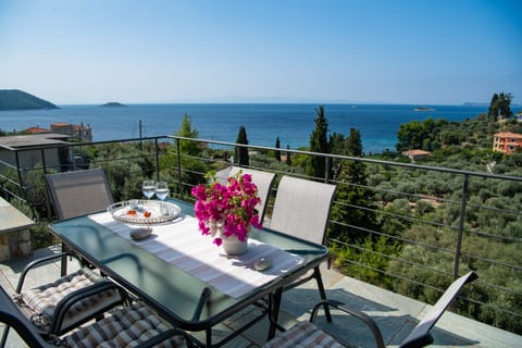 Panoramic House | Balcony view