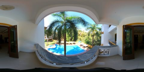 Garden view