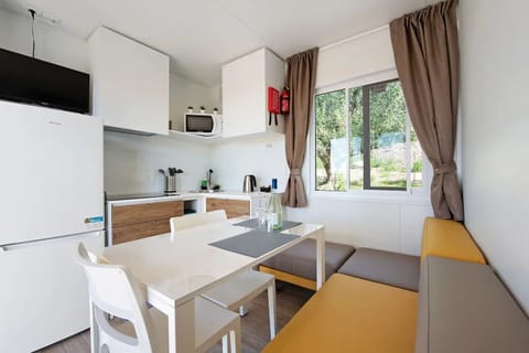 Classic Mobile Home | Living area | 20-inch flat-screen TV with satellite channels