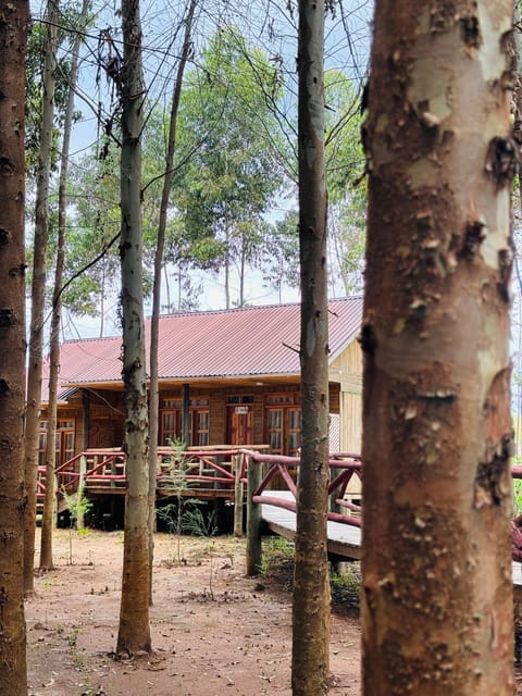 Traditional Room, 1 Large Twin Bed, Garden Area | Lanai