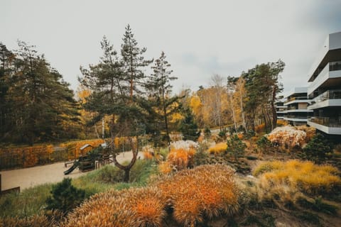 Apartment | 1 bedroom