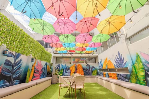Shared Dormitory | Terrace/patio