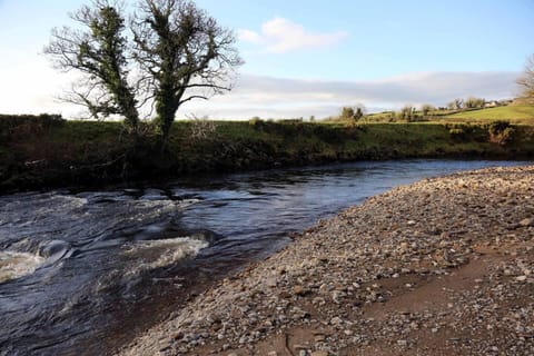 House | Property grounds