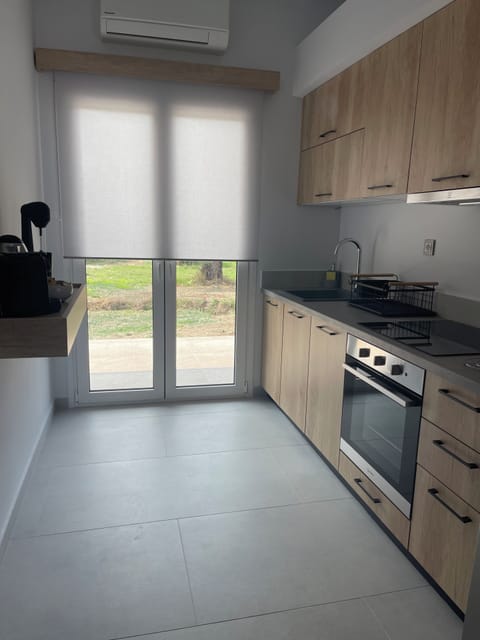 Apartment, 2 Bedrooms, Accessible, Smoking | Private kitchen