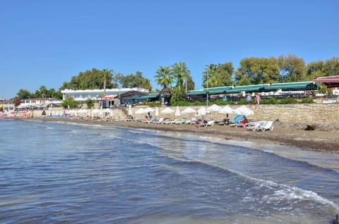 Beach nearby, sun loungers