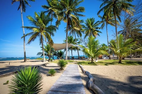 On the beach, sun loungers, beach umbrellas, beach towels