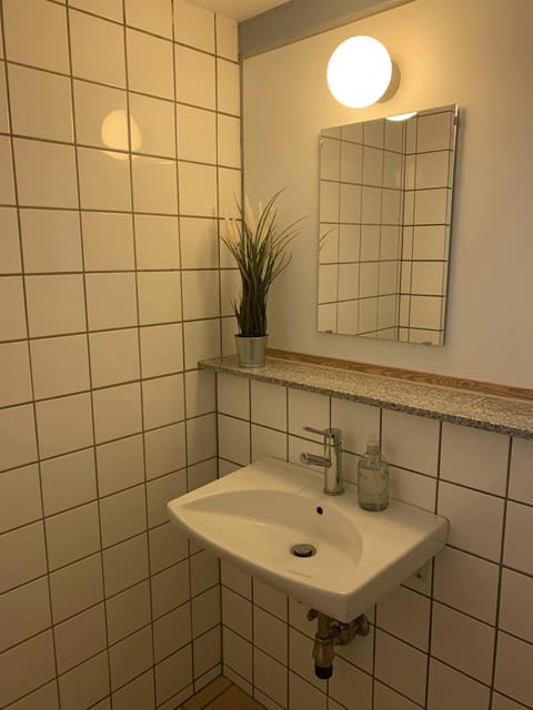 Basic Room | Bathroom | Shower, rainfall showerhead, soap, toilet paper