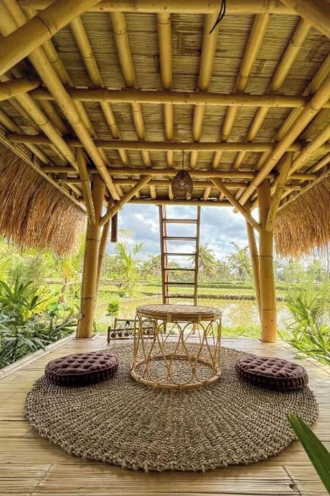 Double Room, Garden View | View from room