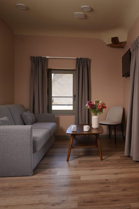 Basic Studio | Living area | 55-inch flat-screen TV with cable channels