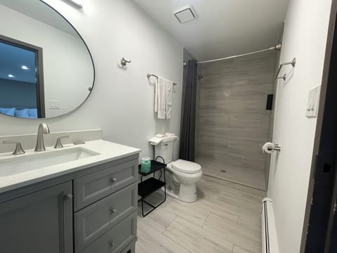 Deluxe Studio Suite | Bathroom | Shower, free toiletries, hair dryer, towels