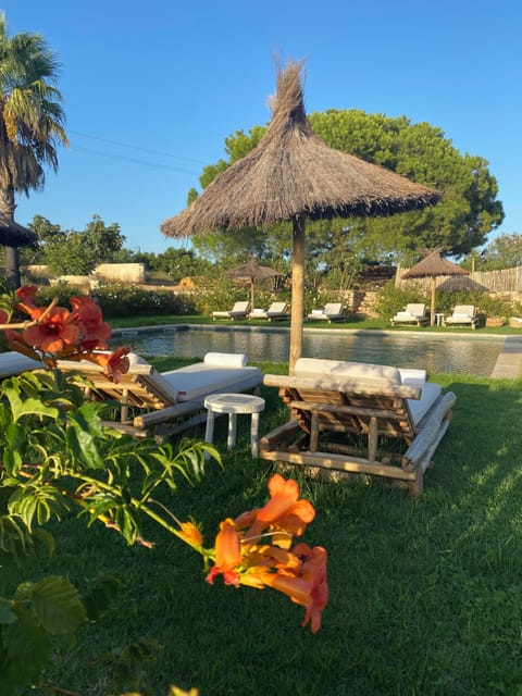 Outdoor pool, open 9:00 AM to 7:00 PM, pool umbrellas, sun loungers