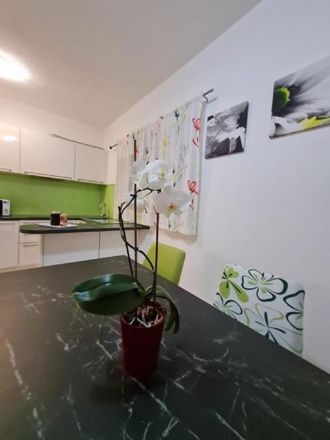 Apartment (Three Bedroom Apartment with terrace ) | Private kitchen | Fridge