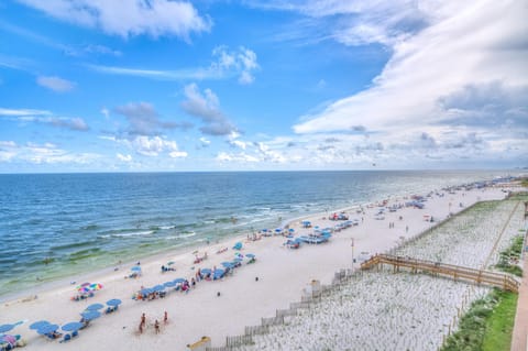Condo, Multiple Beds (Sandy Key 713) | Beach | On the beach